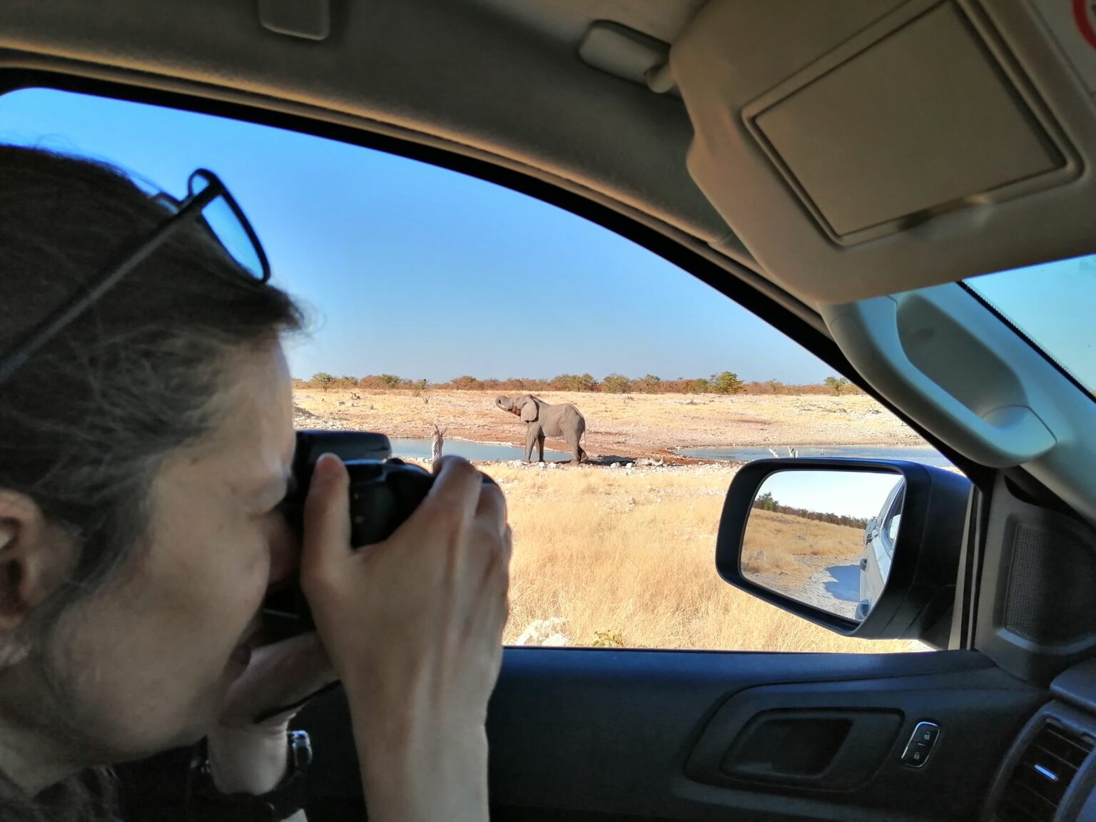 Etosha foto elefante