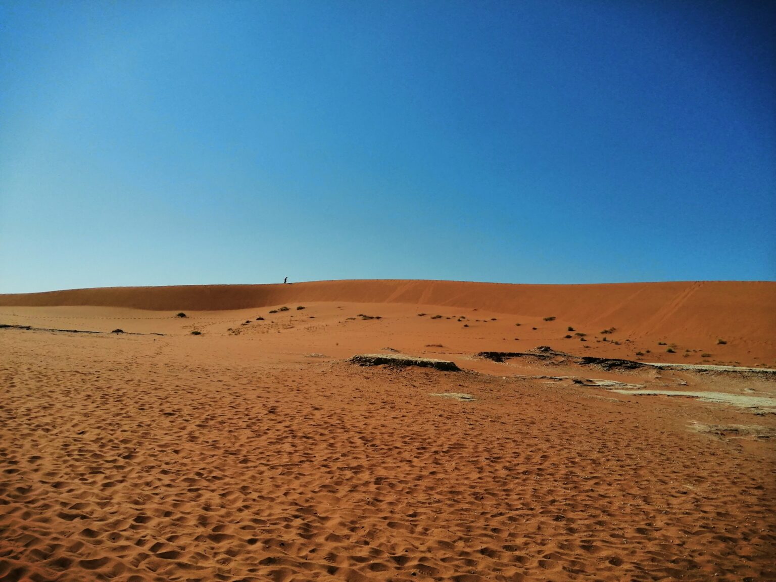 Sossusvlei paz duna