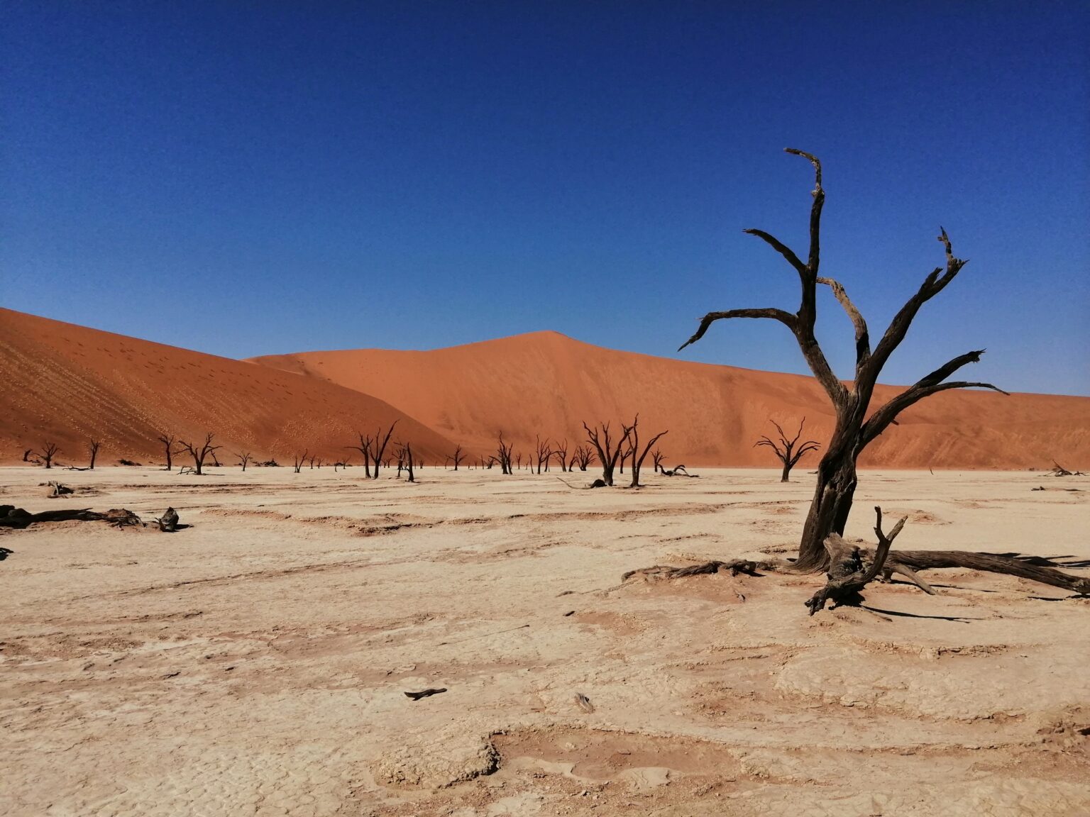 Sossusvlei_1